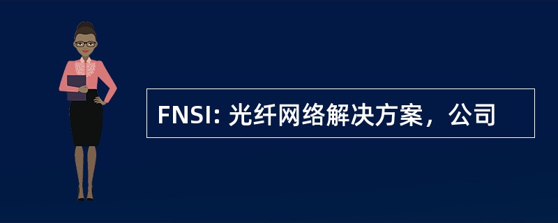 FNSI: 光纤网络解决方案，公司