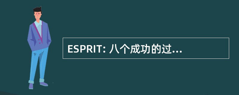 ESPRIT: 八个成功的过程规则、 想法和技巧