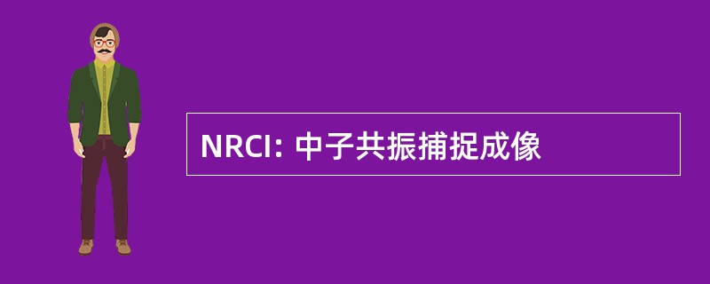 NRCI: 中子共振捕捉成像