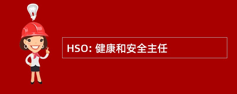 HSO: 健康和安全主任