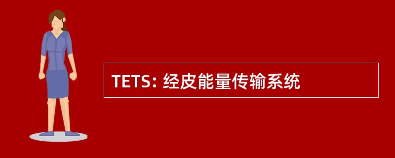 TETS: 经皮能量传输系统