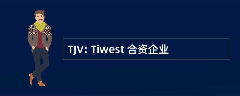 TJV: Tiwest 合资企业