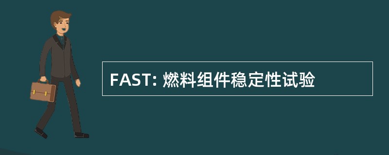 FAST: 燃料组件稳定性试验