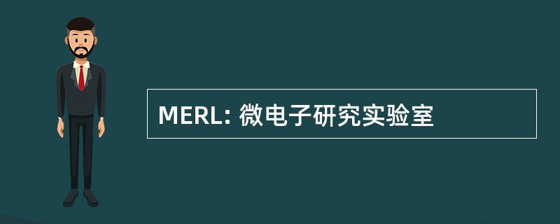 MERL: 微电子研究实验室