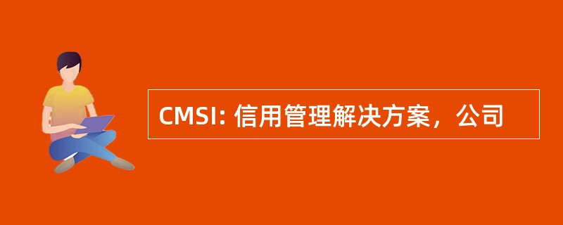 CMSI: 信用管理解决方案，公司