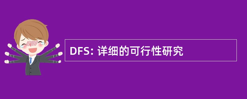 DFS: 详细的可行性研究