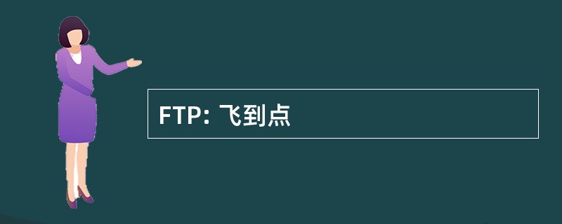 FTP: 飞到点