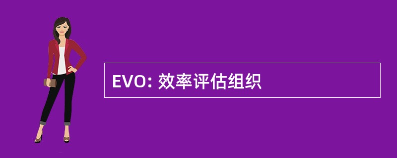 EVO: 效率评估组织