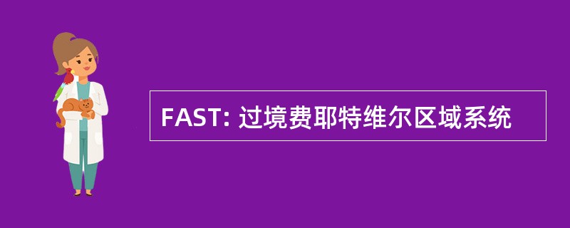 FAST: 过境费耶特维尔区域系统