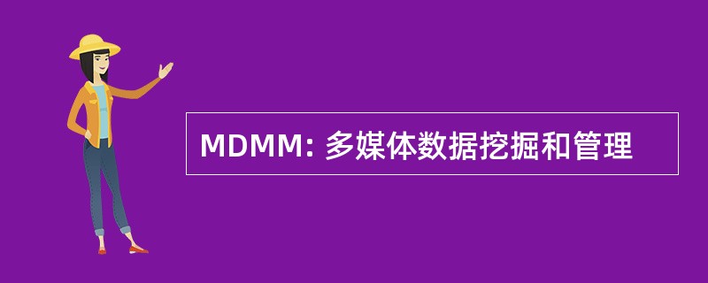 MDMM: 多媒体数据挖掘和管理