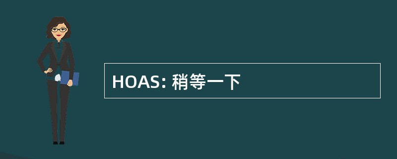 HOAS: 稍等一下