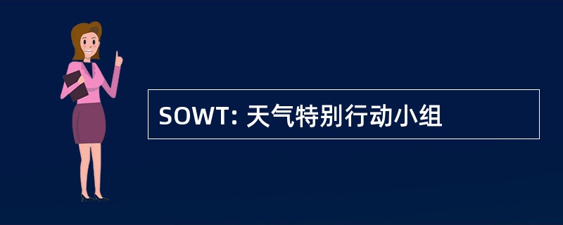 SOWT: 天气特别行动小组