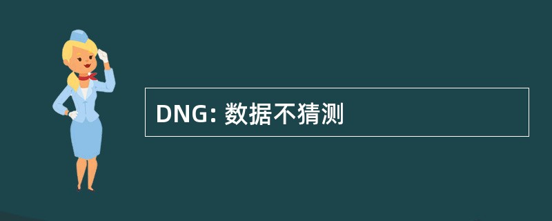 DNG: 数据不猜测