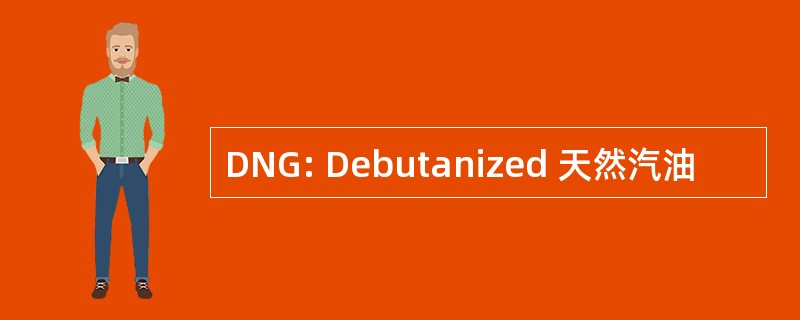 DNG: Debutanized 天然汽油