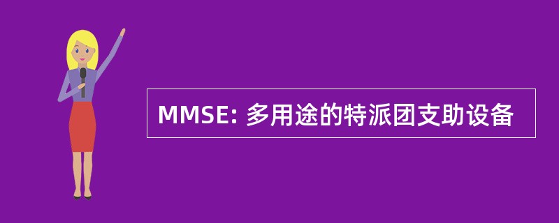 MMSE: 多用途的特派团支助设备