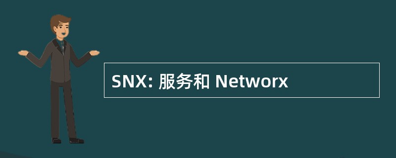 SNX: 服务和 Networx