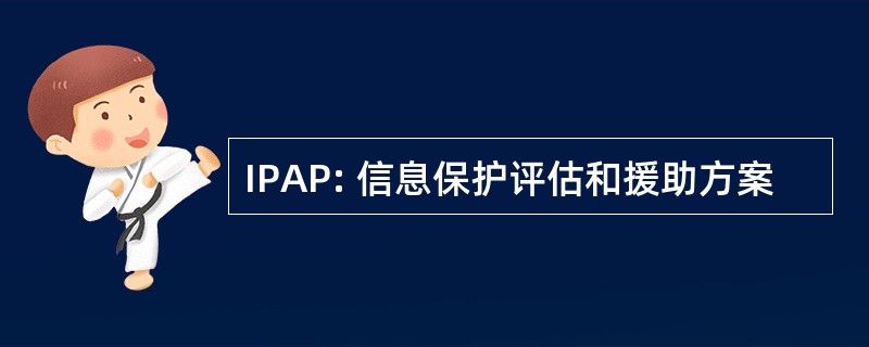 IPAP: 信息保护评估和援助方案