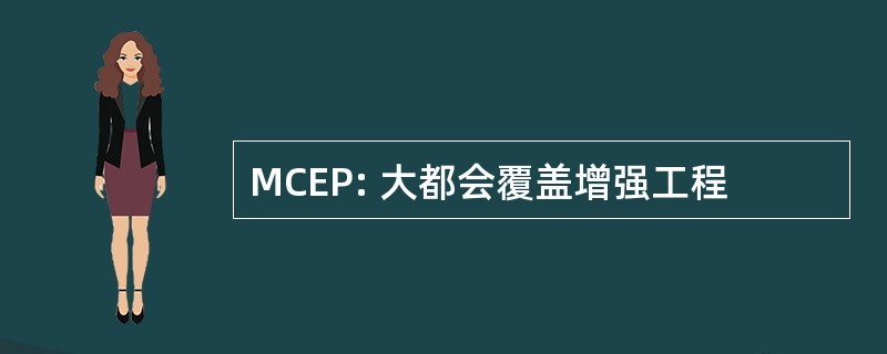 MCEP: 大都会覆盖增强工程