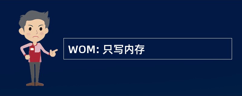 WOM: 只写内存