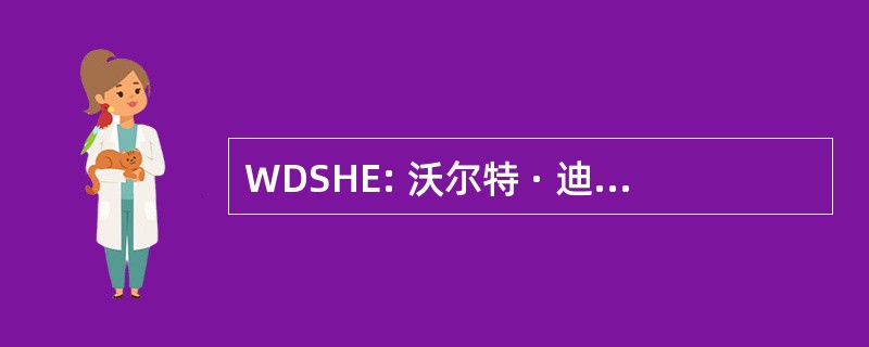 WDSHE: 沃尔特 · 迪斯尼工作室家庭娱乐公司