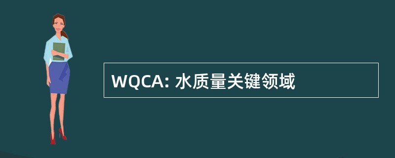 WQCA: 水质量关键领域