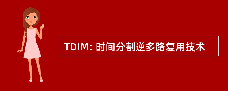 TDIM: 时间分割逆多路复用技术