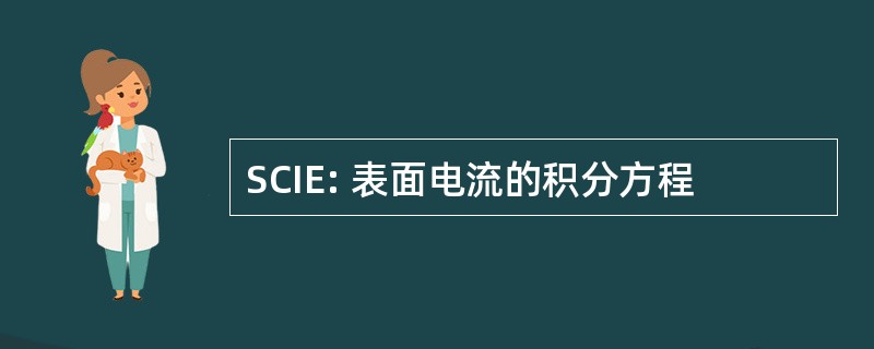 SCIE: 表面电流的积分方程