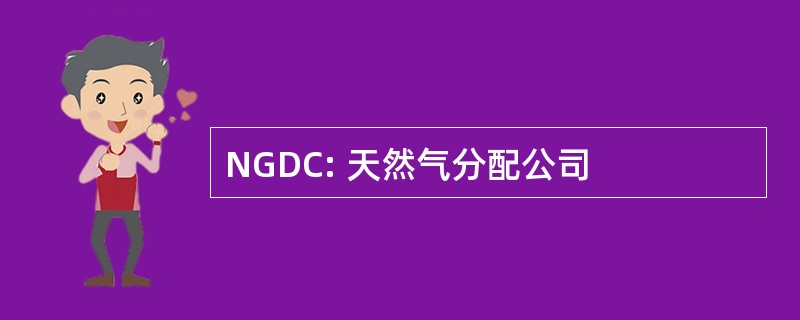 NGDC: 天然气分配公司