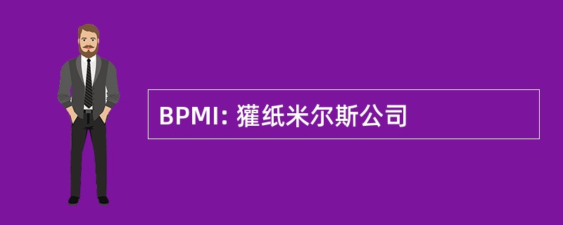 BPMI: 獾纸米尔斯公司