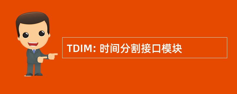 TDIM: 时间分割接口模块