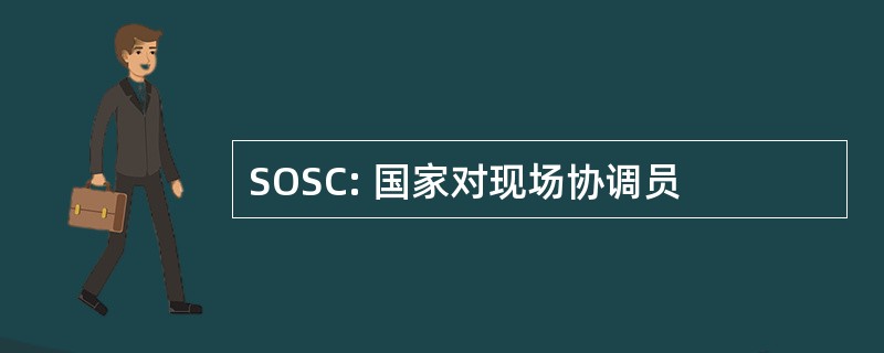 SOSC: 国家对现场协调员