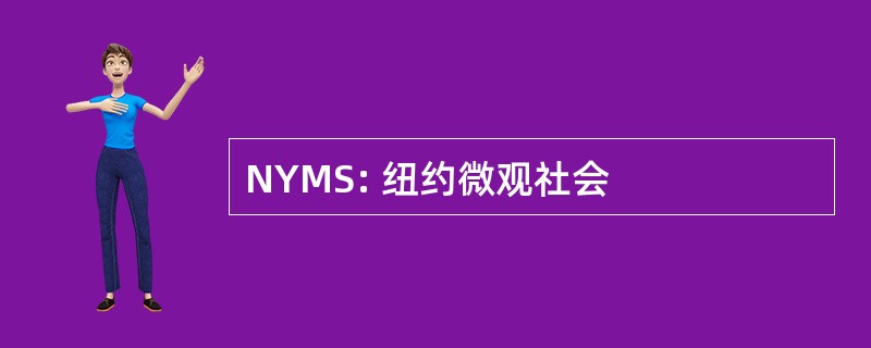 NYMS: 纽约微观社会