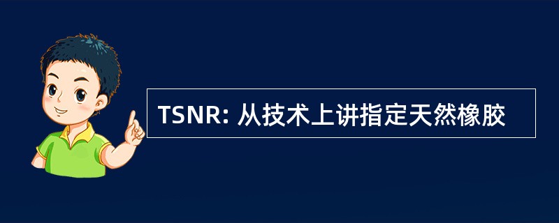 TSNR: 从技术上讲指定天然橡胶