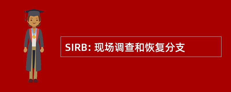 SIRB: 现场调查和恢复分支