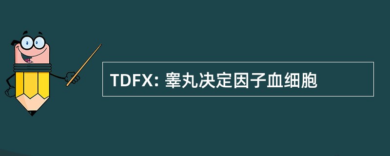 TDFX: 睾丸决定因子血细胞