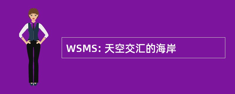 WSMS: 天空交汇的海岸