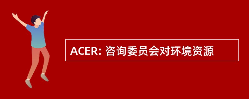 ACER: 咨询委员会对环境资源