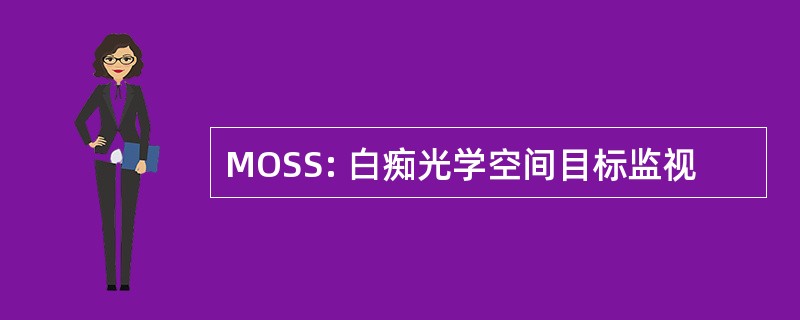 MOSS: 白痴光学空间目标监视