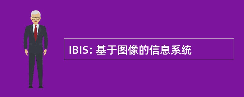 IBIS: 基于图像的信息系统