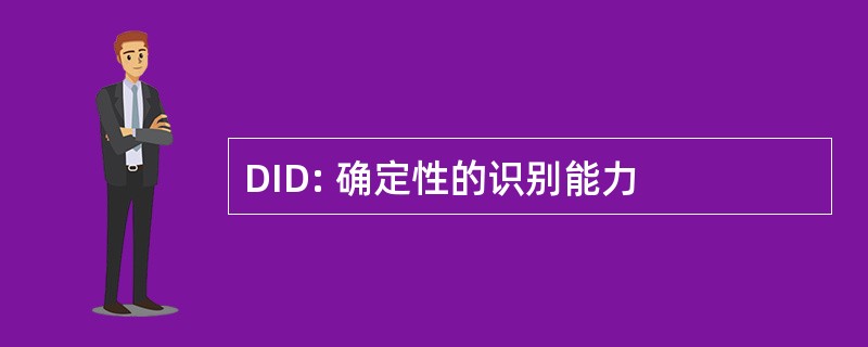 DID: 确定性的识别能力