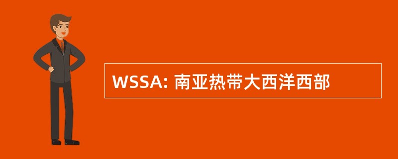 WSSA: 南亚热带大西洋西部