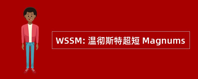 WSSM: 温彻斯特超短 Magnums