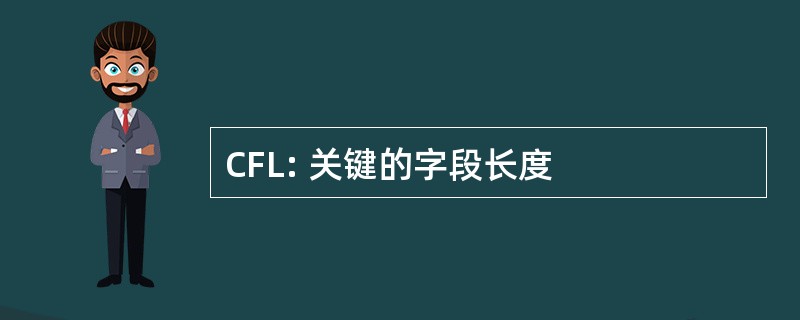 CFL: 关键的字段长度