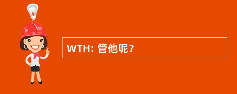 WTH: 管他呢？