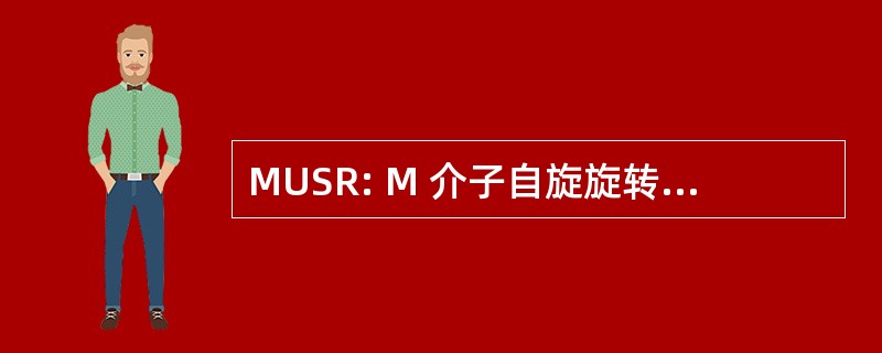 MUSR: Μ 介子自旋旋转/松弛/共振