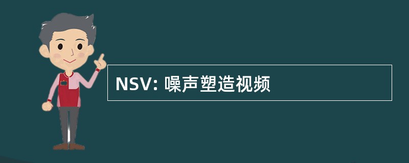 NSV: 噪声塑造视频