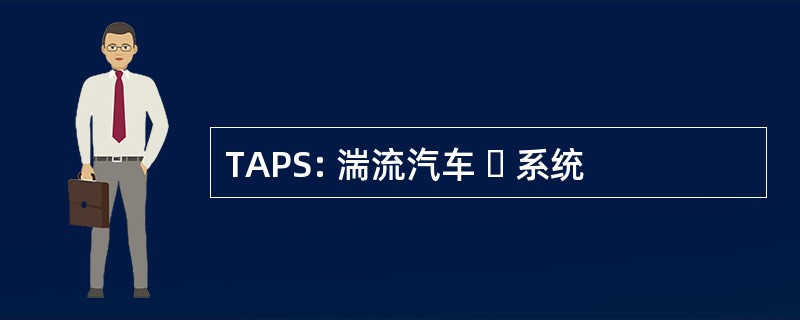 TAPS: 湍流汽车  系统