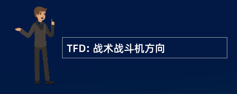 TFD: 战术战斗机方向