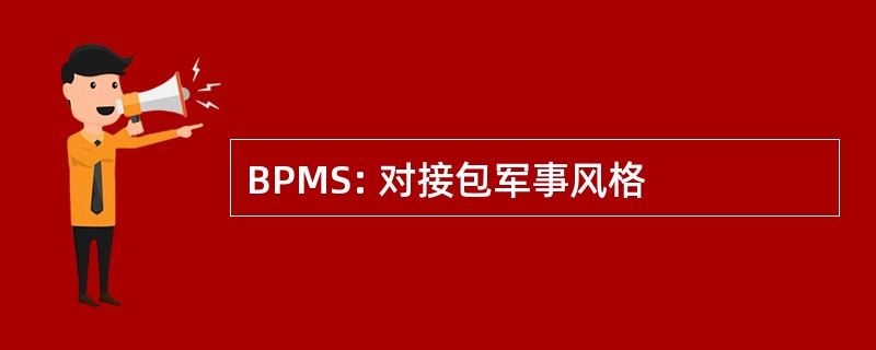 BPMS: 对接包军事风格