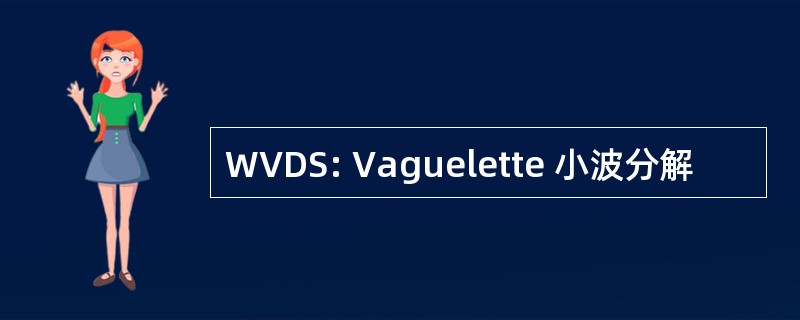 WVDS: Vaguelette 小波分解